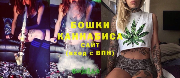PSILOCYBIN Нефтегорск