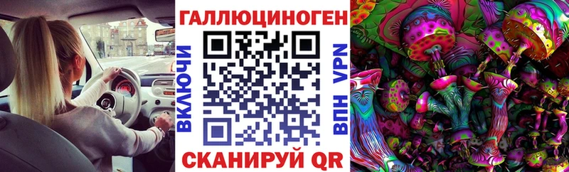 Купить  Палласовка  Галлюциногенные грибы Psilocybe 